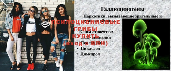гидра Белоозёрский