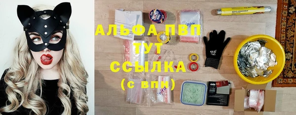 гидра Белоозёрский