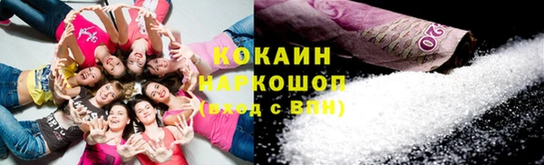 гидра Белоозёрский