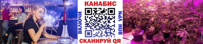 Бошки марихуана индика  Володарск 