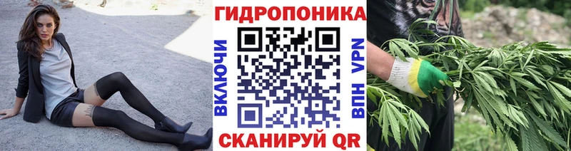 Марихуана план Володарск